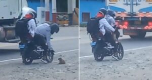 Motociclista ha trovato e salvato un cucciolo piccolissimo abbandonato in mezzo alla strada (VIDEO)