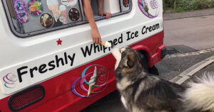 Cucciolo attende pazientemente il furgoncino dei gelati e il venditore non resiste cane (VIDEO)