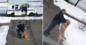 Golden Retriever aspetta fuori ogni giorno per abbracciare il suo postino (VIDEO)