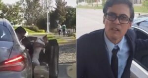 Giovani catturano il momento in cui un uomo abbandona un cucciolo e lo affrontano (VIDEO)