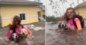 Giovane si aggrappa ai suoi cuccioli mentre cerca di scappare da un pericolosissimo uragano (VIDEO)