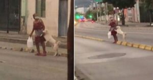 Donna prende il suo cucciolo per la zampa per evitare che corra rischi quando attraversa la strada (VIDEO)