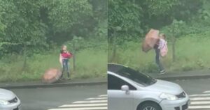 Ragazza coraggiosa sfida la pioggia per salvare un povero cucciolo ferito (VIDEO)