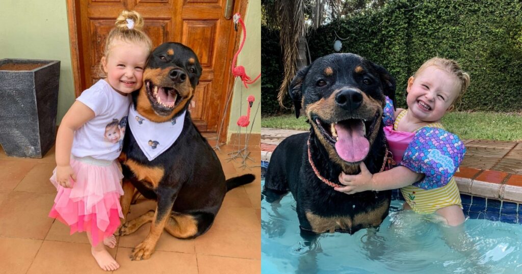 bambina e Rottweiler