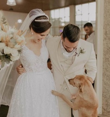 cane viene adottato dopo un matrimonio