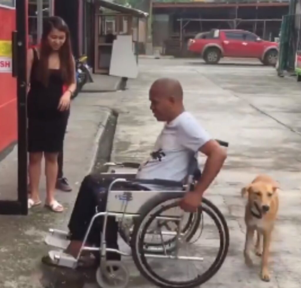 cane spinge sedia a rotelle del suo padrone