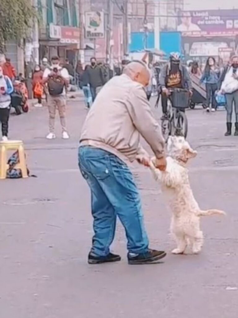 cane balla huayno