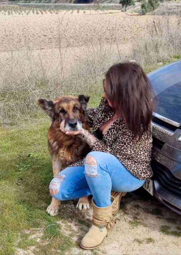 Cane perso 6 anni fa torna a casa dalla sua famiglia