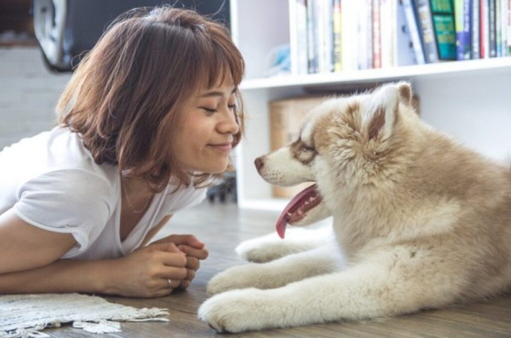 persone che parlano con i propri cani