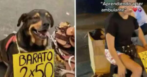 Cucciolo cammina per strada col suo padrone e vendono scarpe per vivere, il video dolcissimo (VIDEO)