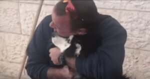 Husky ritrovato e identificato grazie alla sua canzone preferita che cantava col padrone (VIDEO)