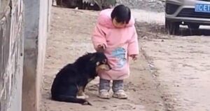 La bambina difende un cagnolino dai rumori dei botti con il gesto più semplice che conosce (VIDEO)