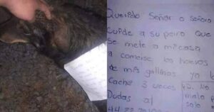 Cagnolino torna a casa con un messaggio attaccato al collo: il contenuto del biglietto lascia tutti senza parole