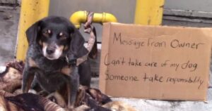 Lasciano un cagnolino “abbandonato” per vedere la reazione della gente. Ad aiutarlo, un senzatetto (VIDEO)