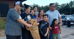 Cagnolina smarrita da un anno viene riconosciuta a un evento di adozione