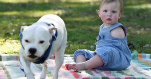 Cagnolino senza una zampa viene adottato da una bambina senza un arto: l’incredibile storia di un’amicizia