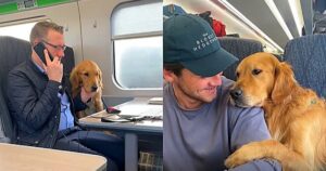 Golden Retriever fa amicizia con degli estranei durante un viaggio in treno (VIDEO)