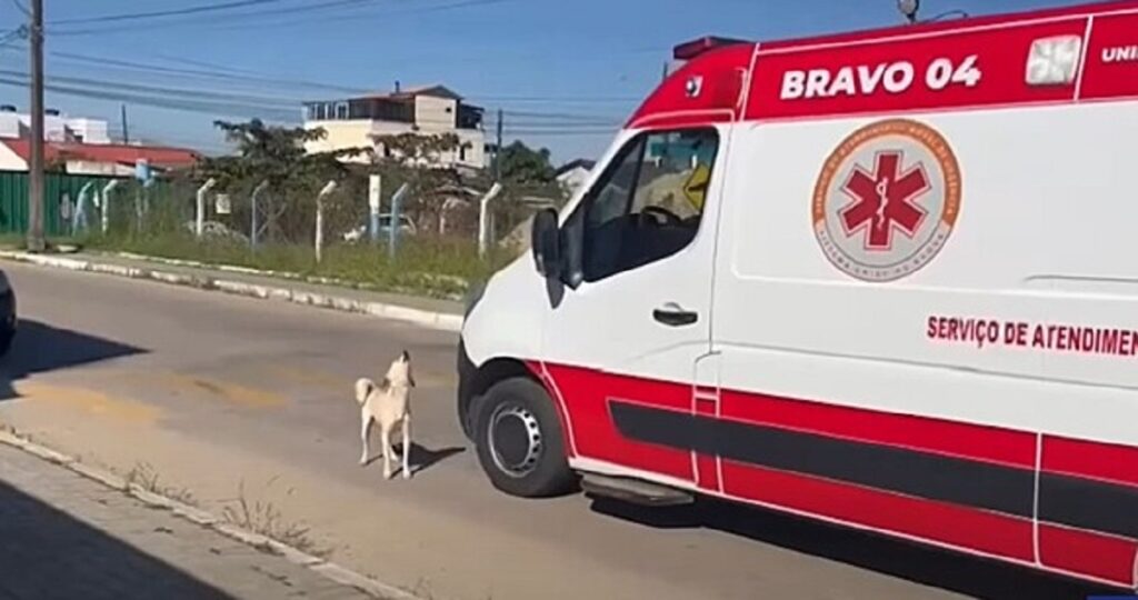 ambulanza