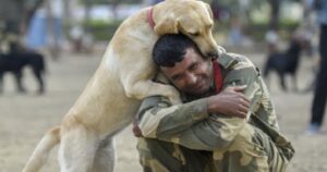 Il fedele Golden Retriever saluta il soldato in partenza: le immagini commoventi hanno fatto piangere tutti (VIDEO)