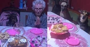 La nonna festeggia i suoi 89 anni con gli 8 cagnolini tutti seduti a tavola con lei (VIDEO)