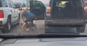 Donna vede tre cani in mezzo al traffico e senza pensarci troppo scende a salvarli (VIDEO)