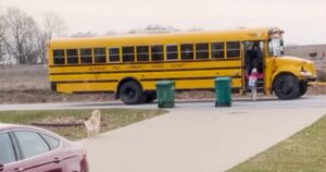 Golden Retriever accompagna la sua sorellina sull’autobus ogni giorno per andare a scuola (VIDEO)