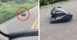 Trova un sacco della spazzatura che si muove per strada: rimane scioccata quando vede il contenuto (VIDEO)