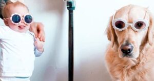 Il Golden Retriever e la sorellina umana costituiscono un irresistibile duo sui social (VIDEO)