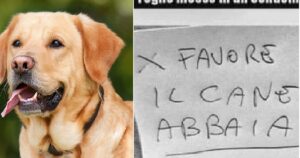 Riceve lamentele dai vicini per l’abbaiare del cane: la risposta del padrone è esilarante