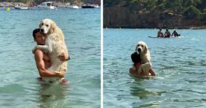 Golden Retriever non sa stare in acqua senza gli abbracci del suo papà (VIDEO)