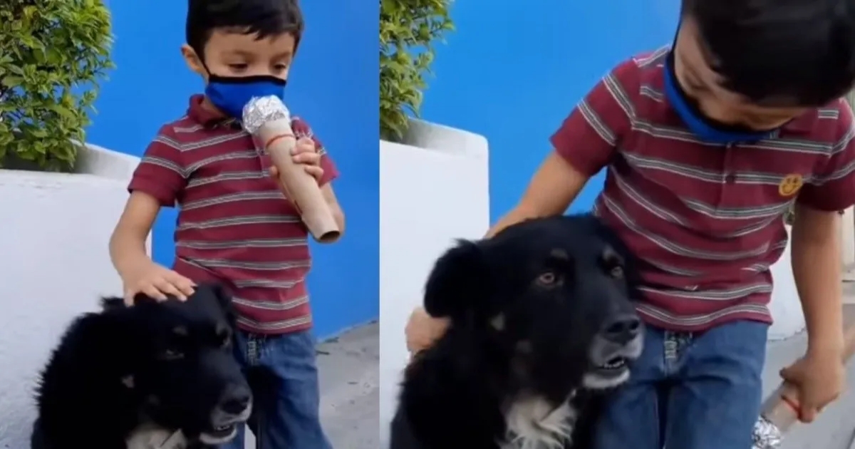 Un bambino intervista dei cani randagi per un compito scolastico, e il video diventa virale.