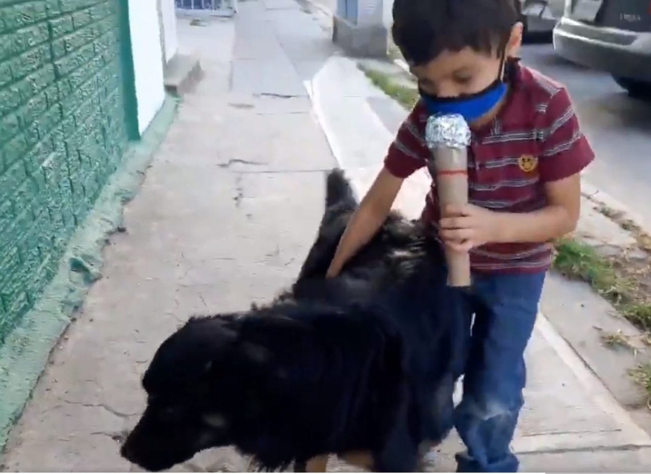 Un bambino intervista dei cani randagi per un compito scolastico, e il video diventa virale.