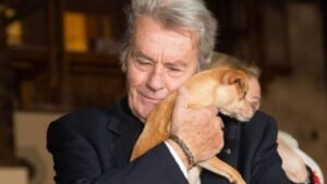 Alain Delon e il suo desiderio speciale: riposare accanto ai suoi amati compagni cani